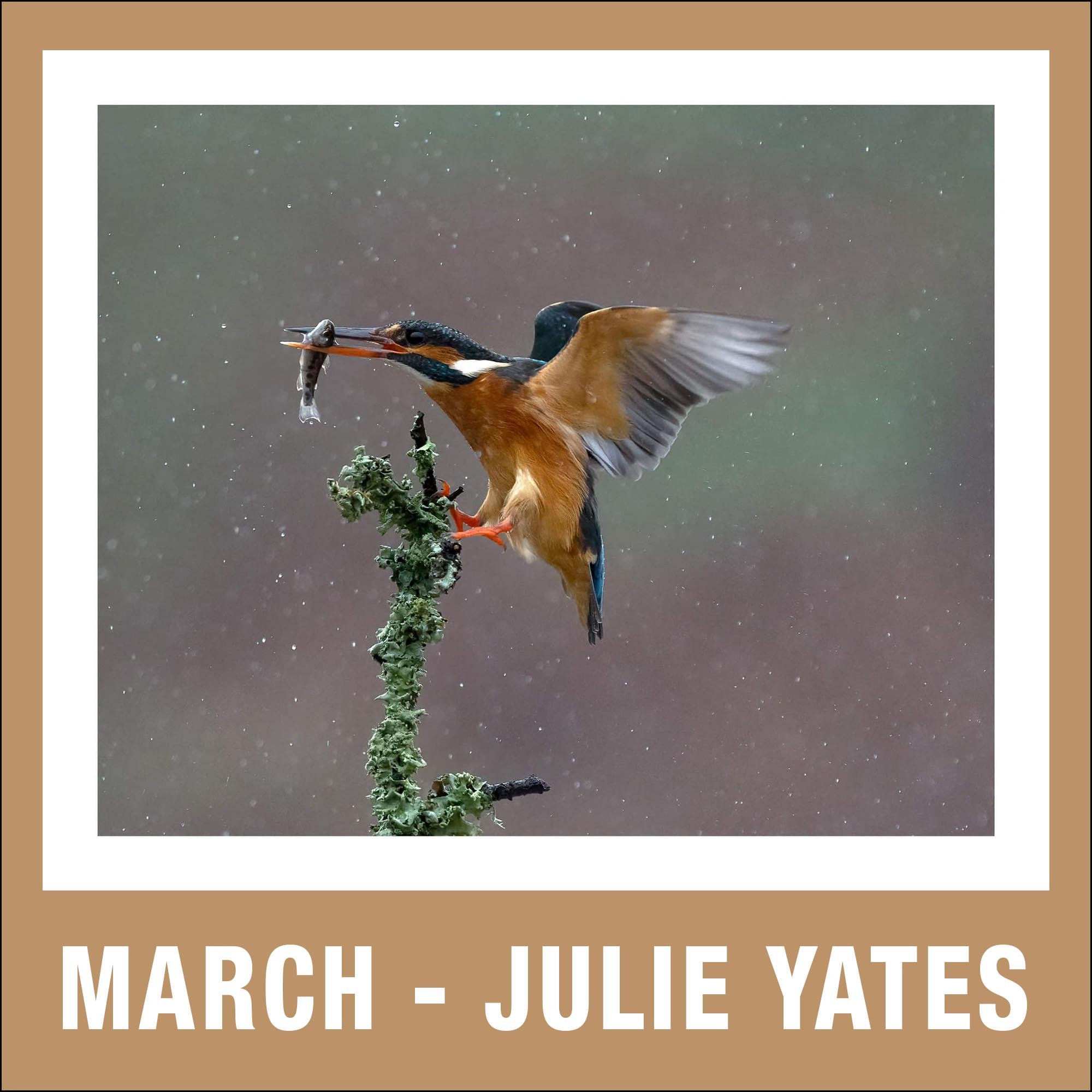3 - March - Julie Yates.jpg
