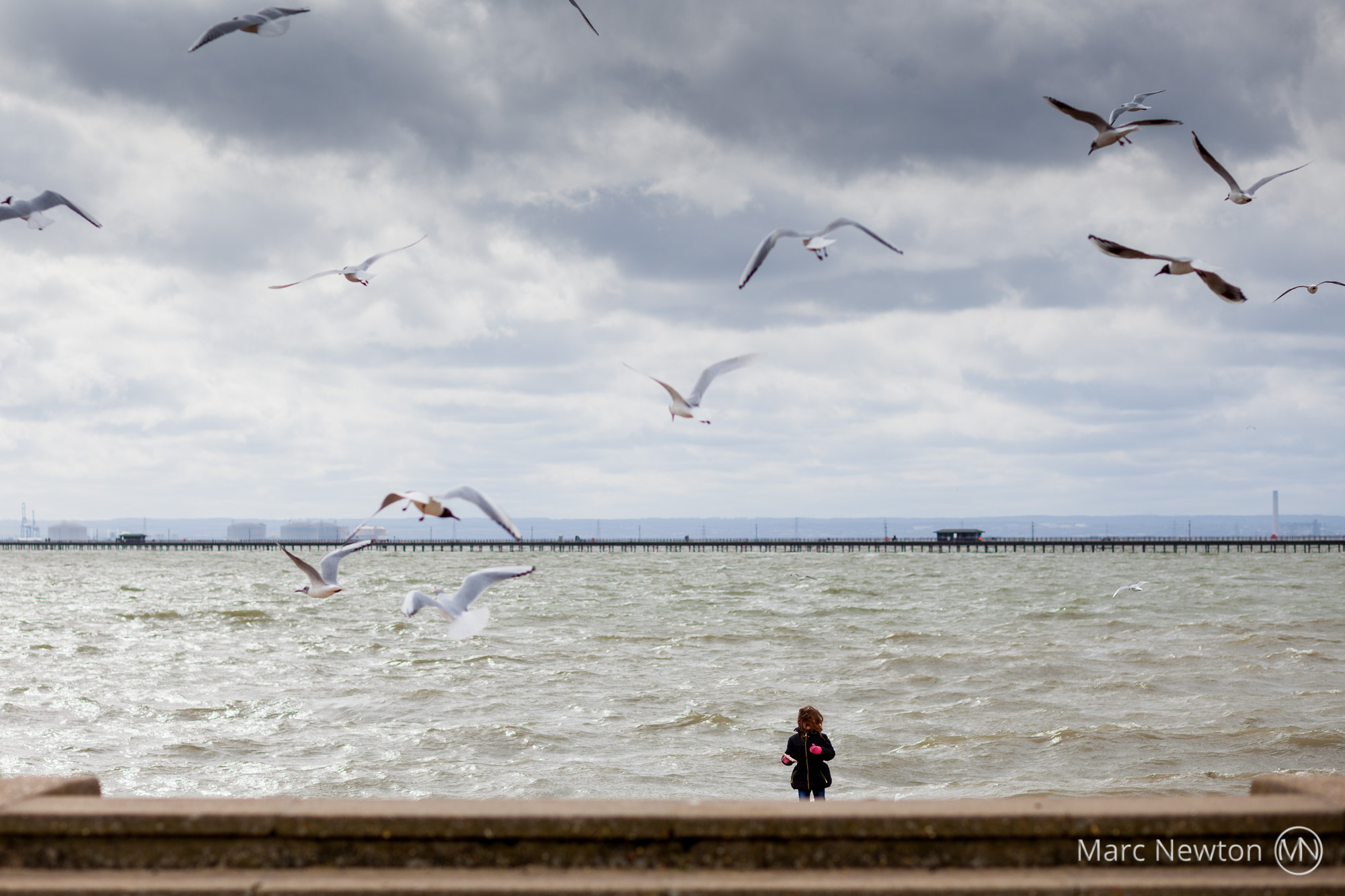 Girl feeding seaguls, Southend on Sea_2000px.jpg