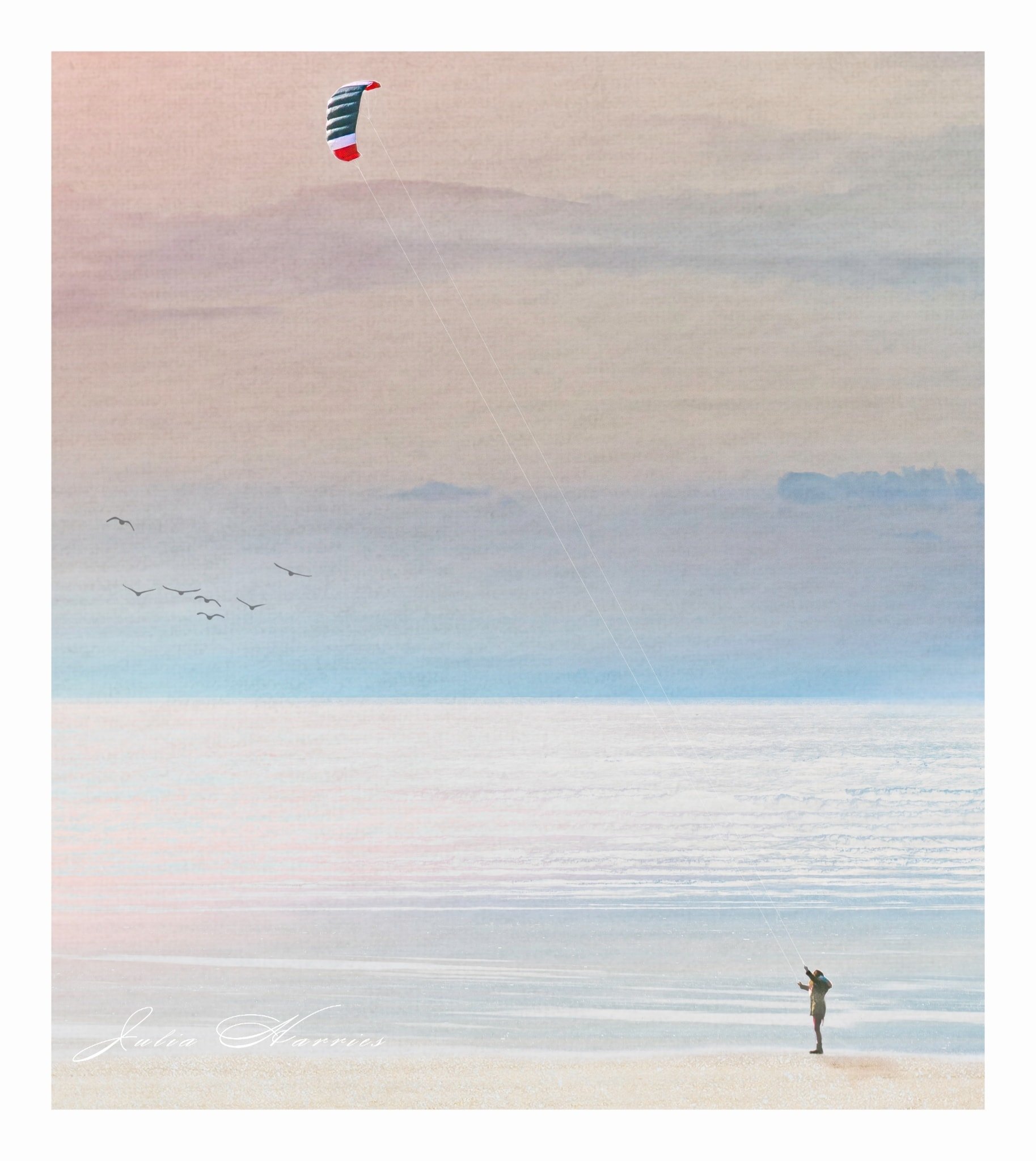 Julia Harries ~ Flying a Kite.jpg